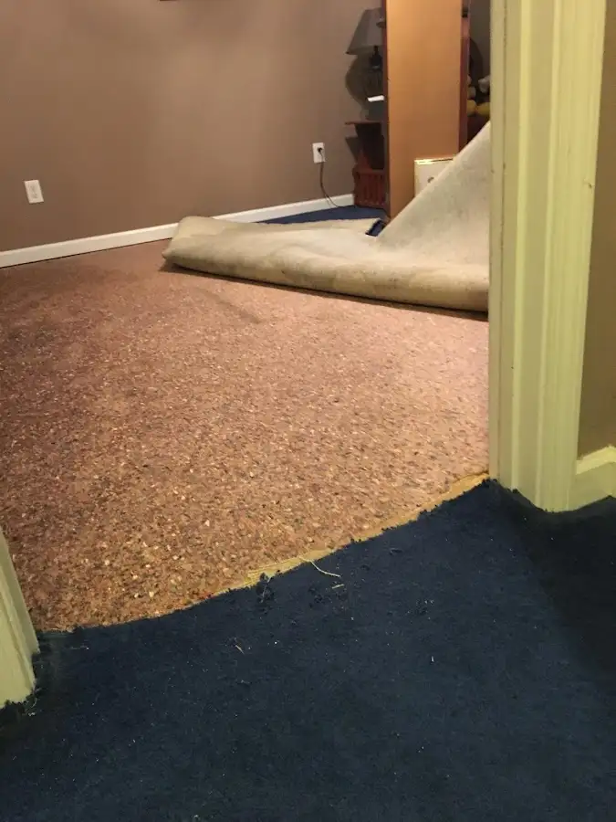 Carpet pad removal revealing water damage during Water Mitigation Services in Osprey