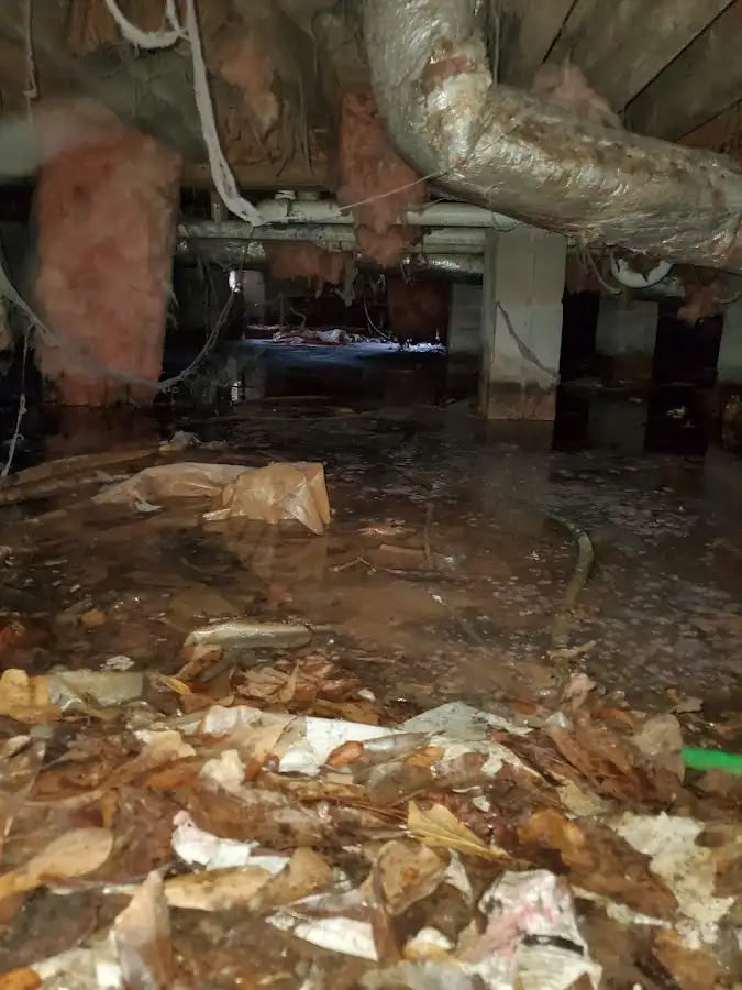 Crawl space flood assessment for Commercial Water Damage Restoration in Osprey