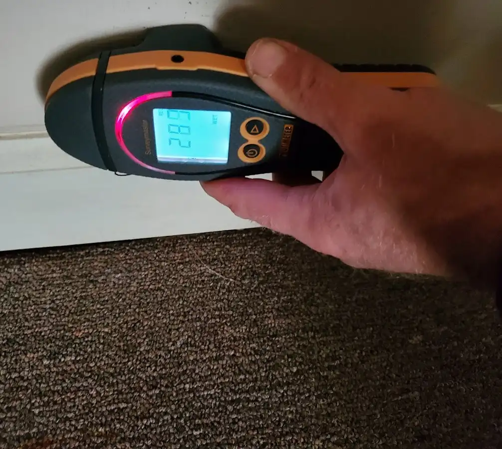 Moisture detection at baseboard during Storm Damage Restoration in Osprey
