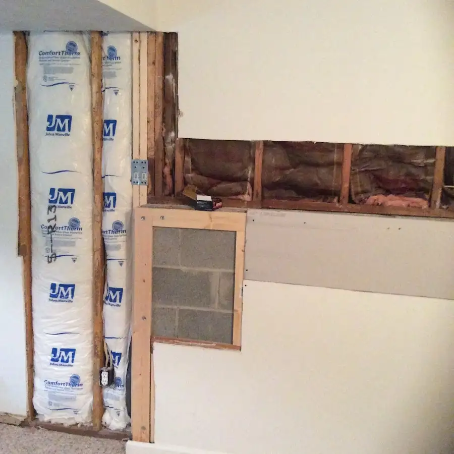 Wall insulation replacement during Odor Removal & Deodorization in Osprey